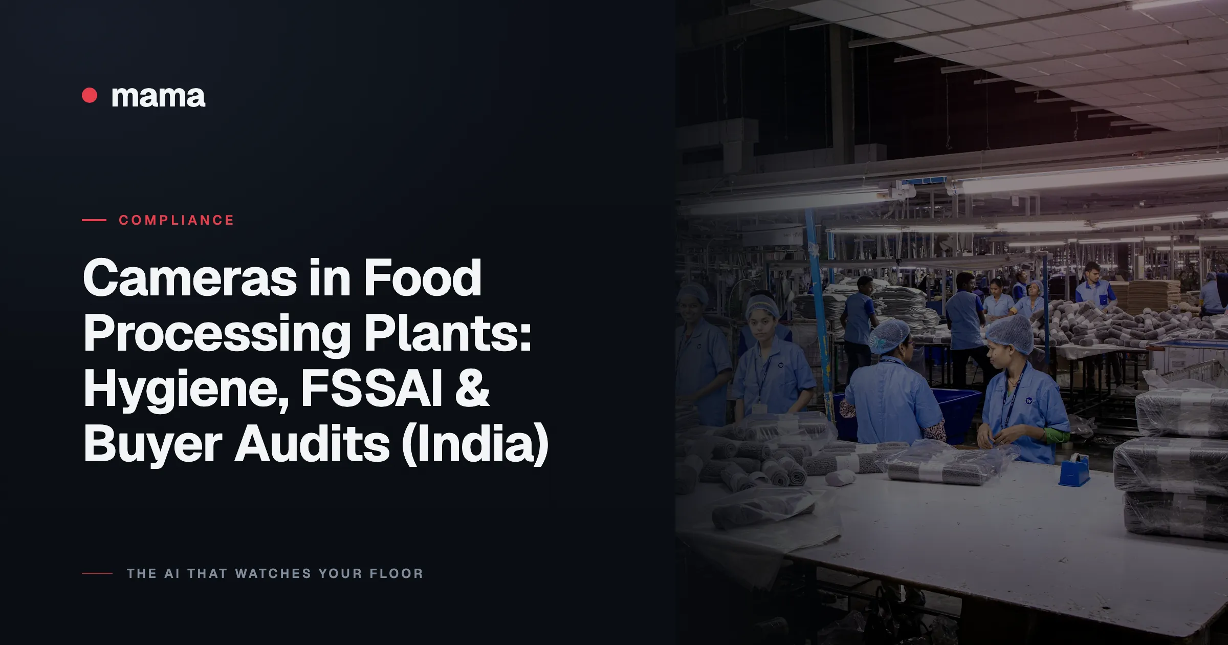 Cameras in Food Processing Plants: Hygiene, FSSAI & Buyer Audits (India)