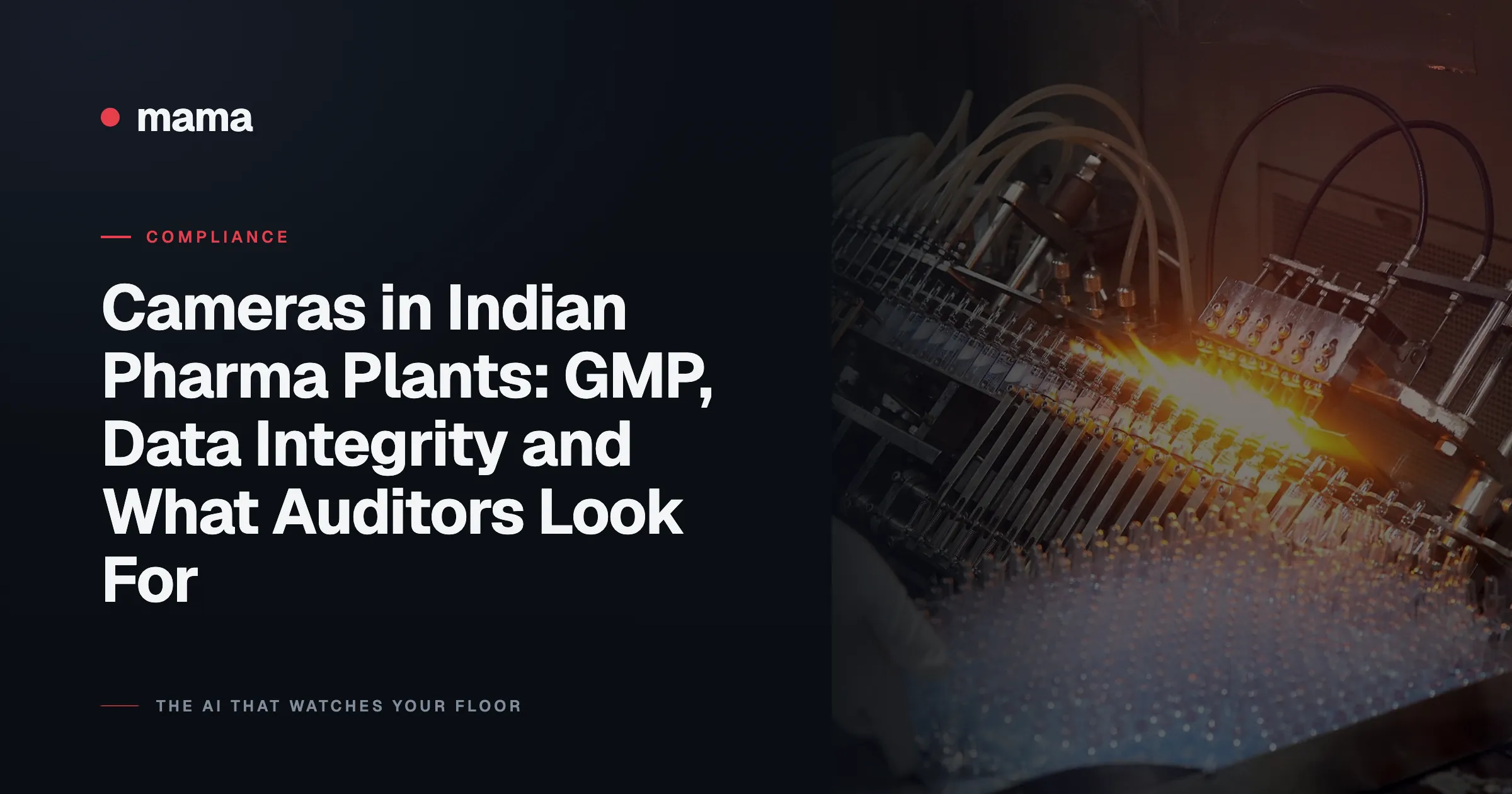 Cameras in Indian Pharma Plants: GMP, Data Integrity and What Auditors Look For