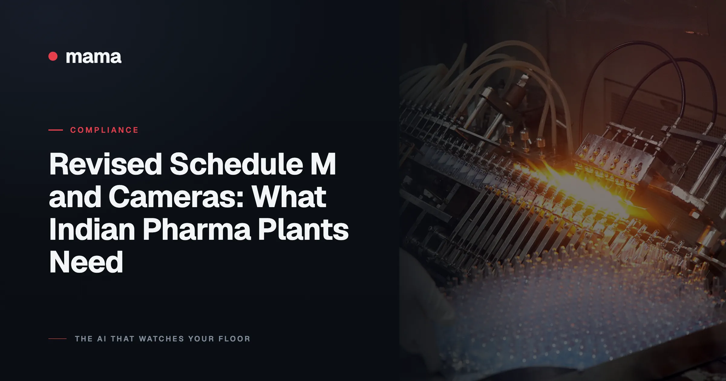 Revised Schedule M and Cameras: What Indian Pharma Plants Need