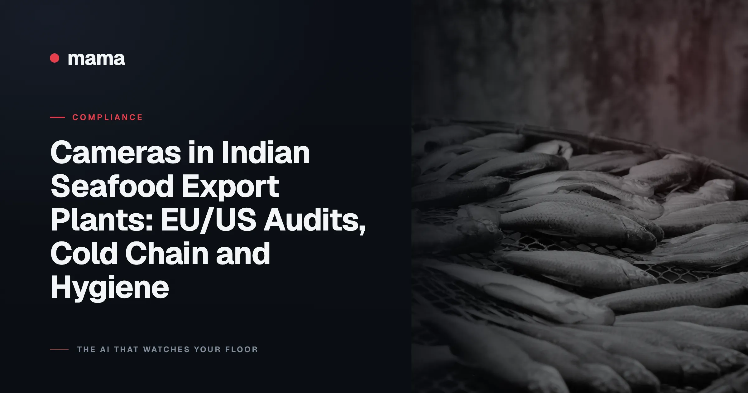 Cameras in Indian Seafood Export Plants: EU/US Audits, Cold Chain and Hygiene