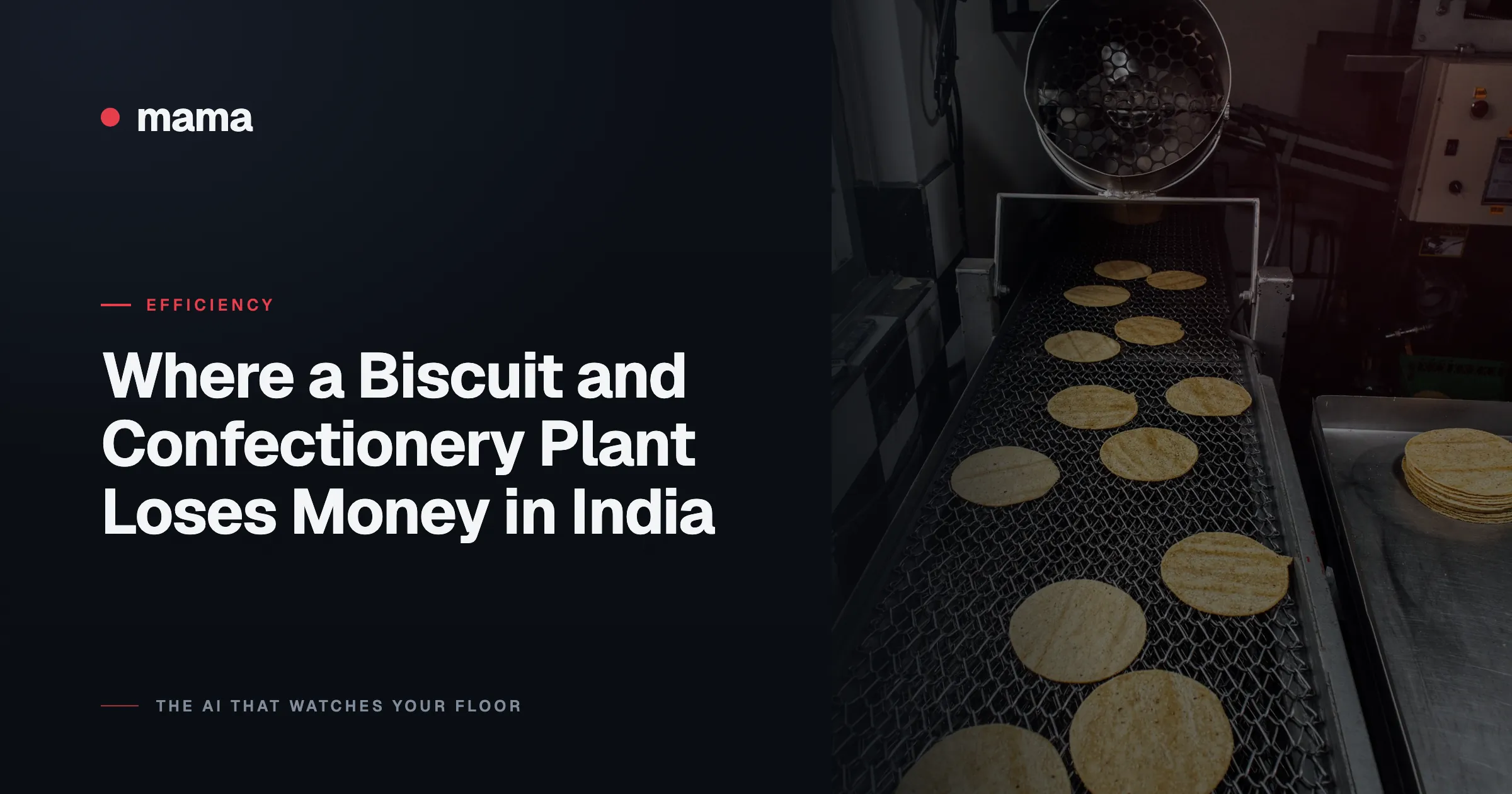 Where a Biscuit and Confectionery Plant Loses Money in India
