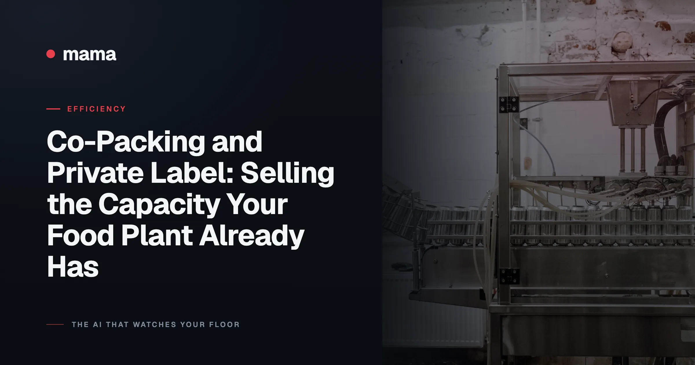 Co-Packing and Private Label: Selling the Capacity Your Food Plant Already Has