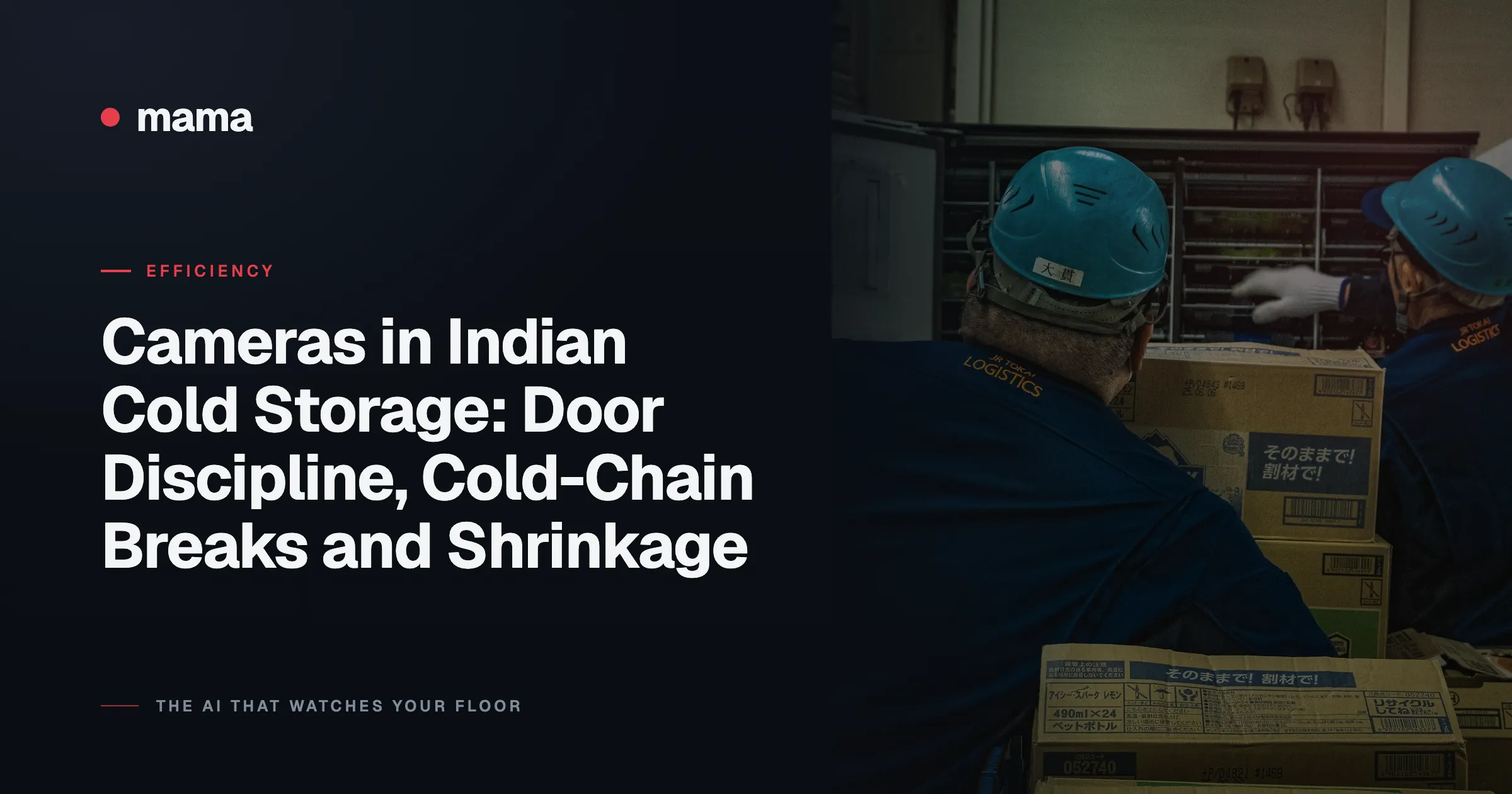 Cameras in Indian Cold Storage: Door Discipline, Cold-Chain Breaks and Shrinkage