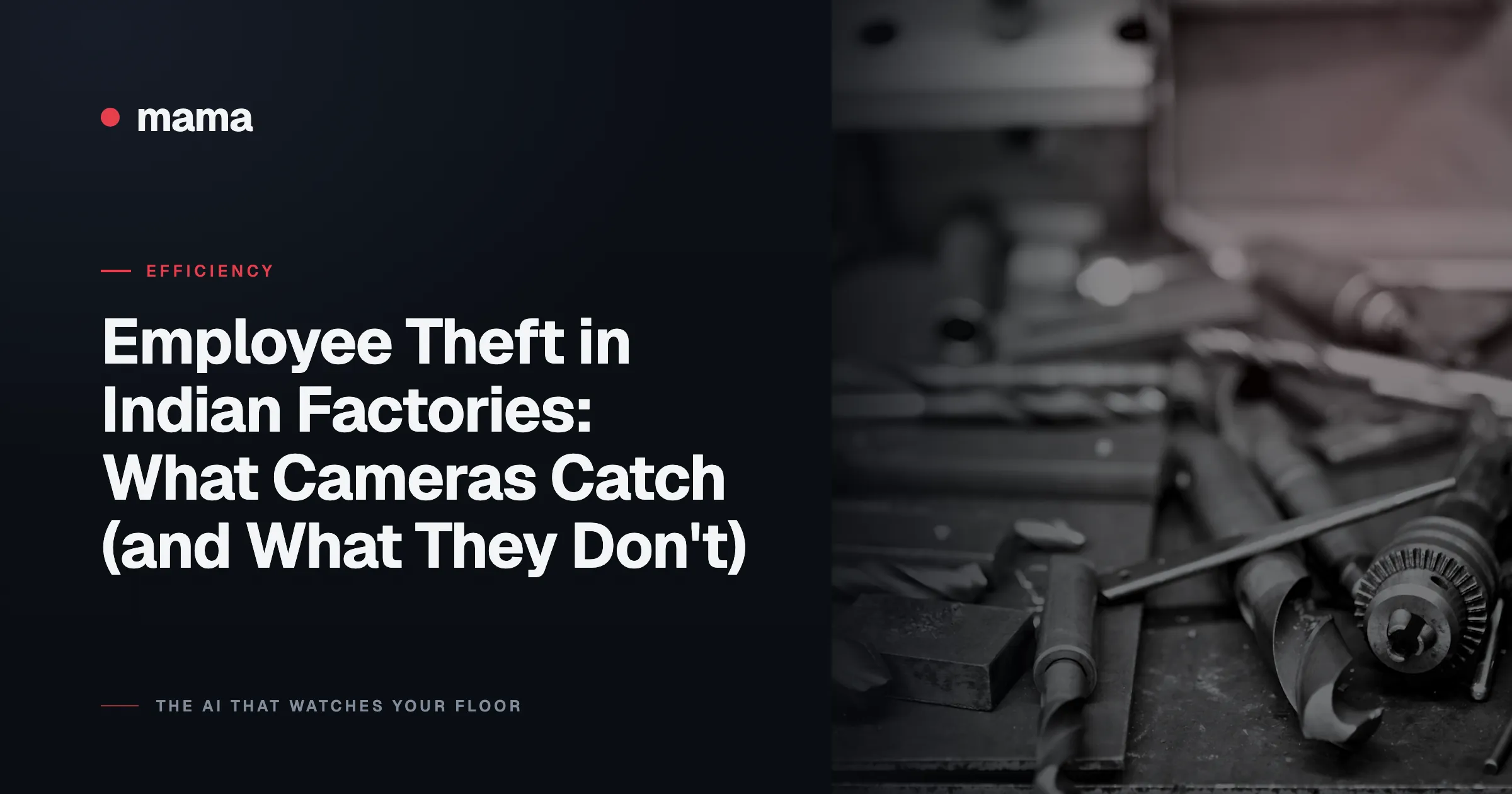 Employee Theft in Indian Factories: What Cameras Catch (and What They Don't)