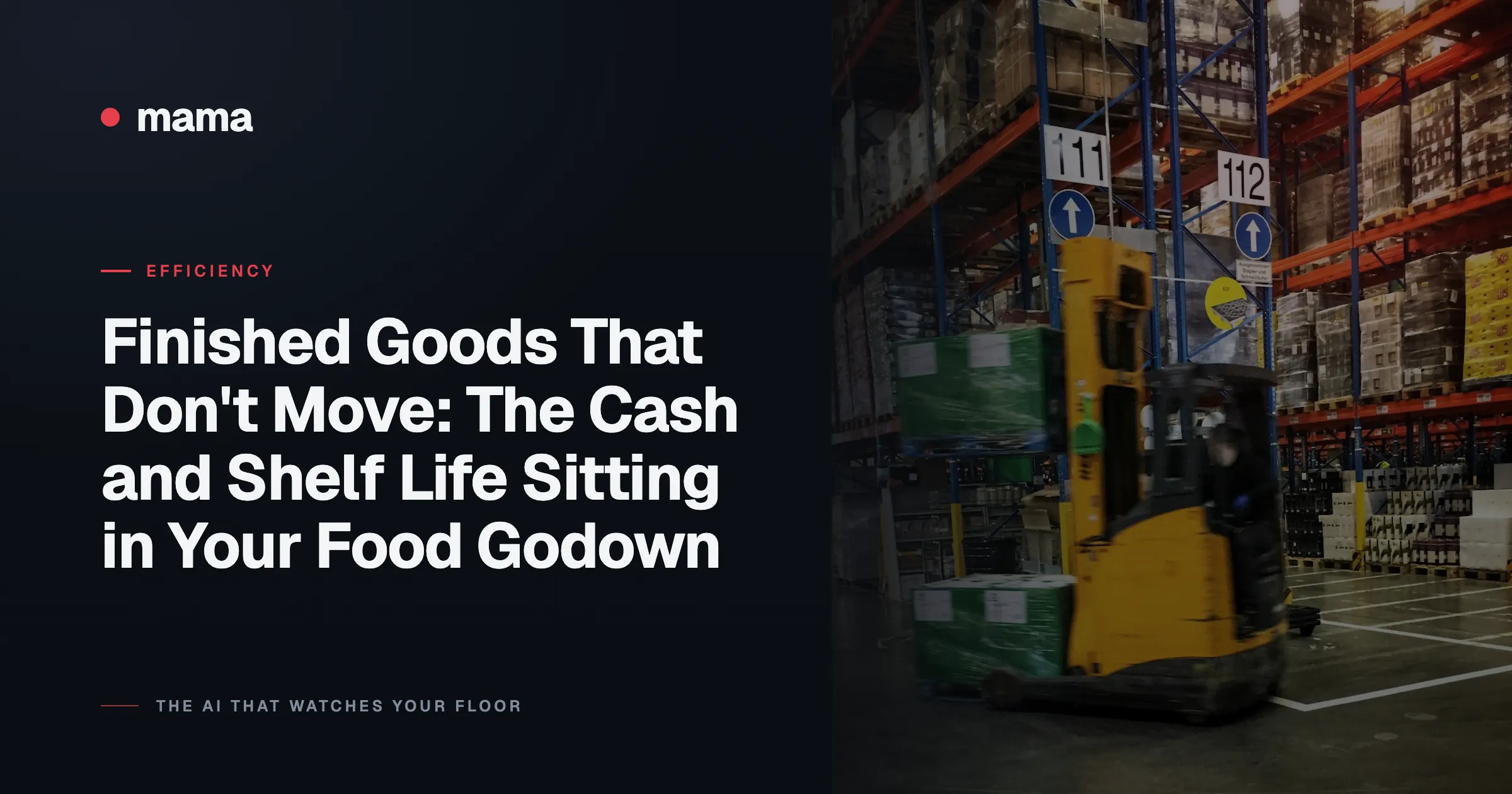 Finished Goods That Don't Move: The Cash and Shelf Life Sitting in Your Food Godown