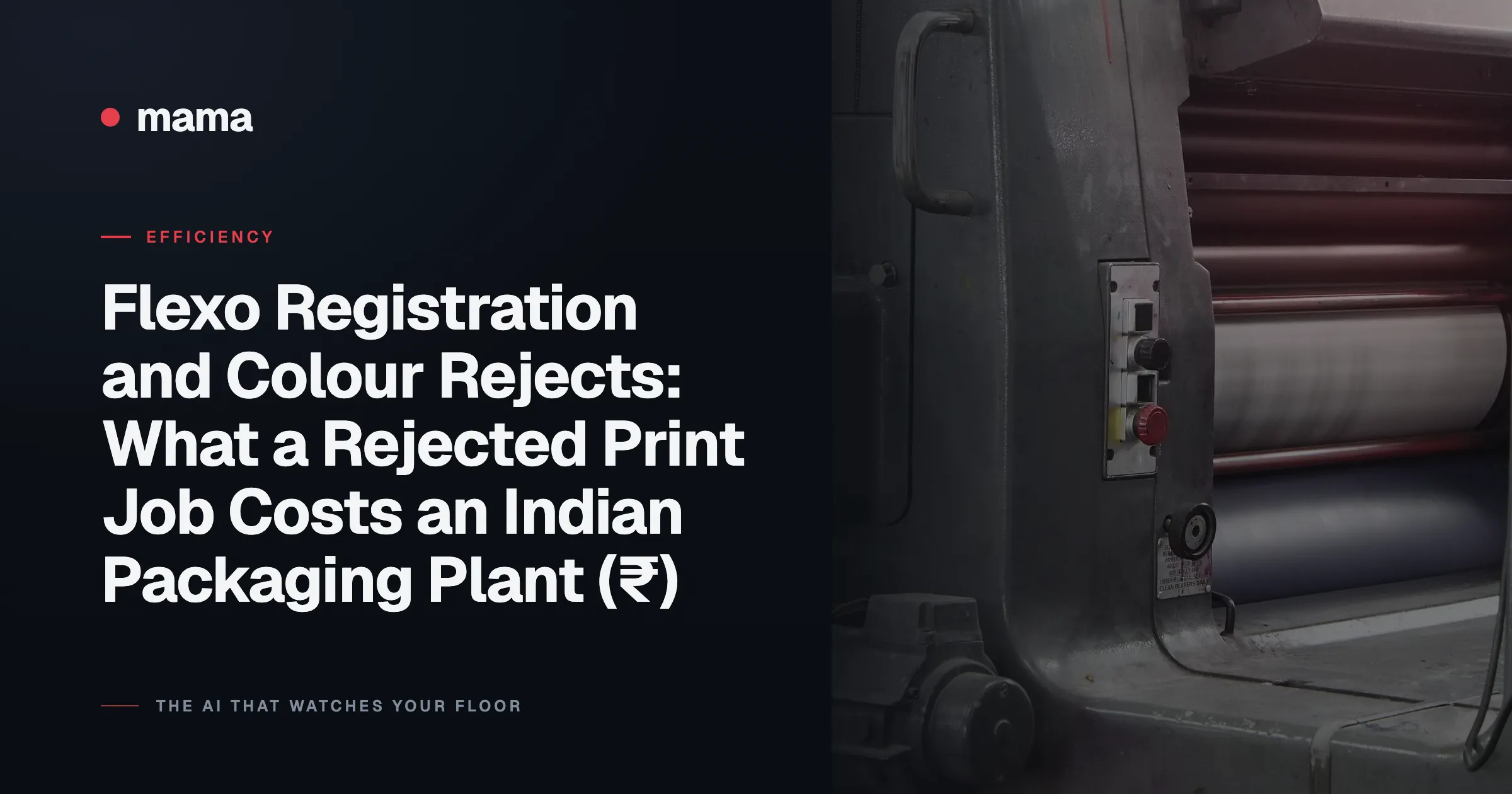 Flexo Registration and Colour Rejects: What a Rejected Print Job Costs an Indian Packaging Plant (₹)