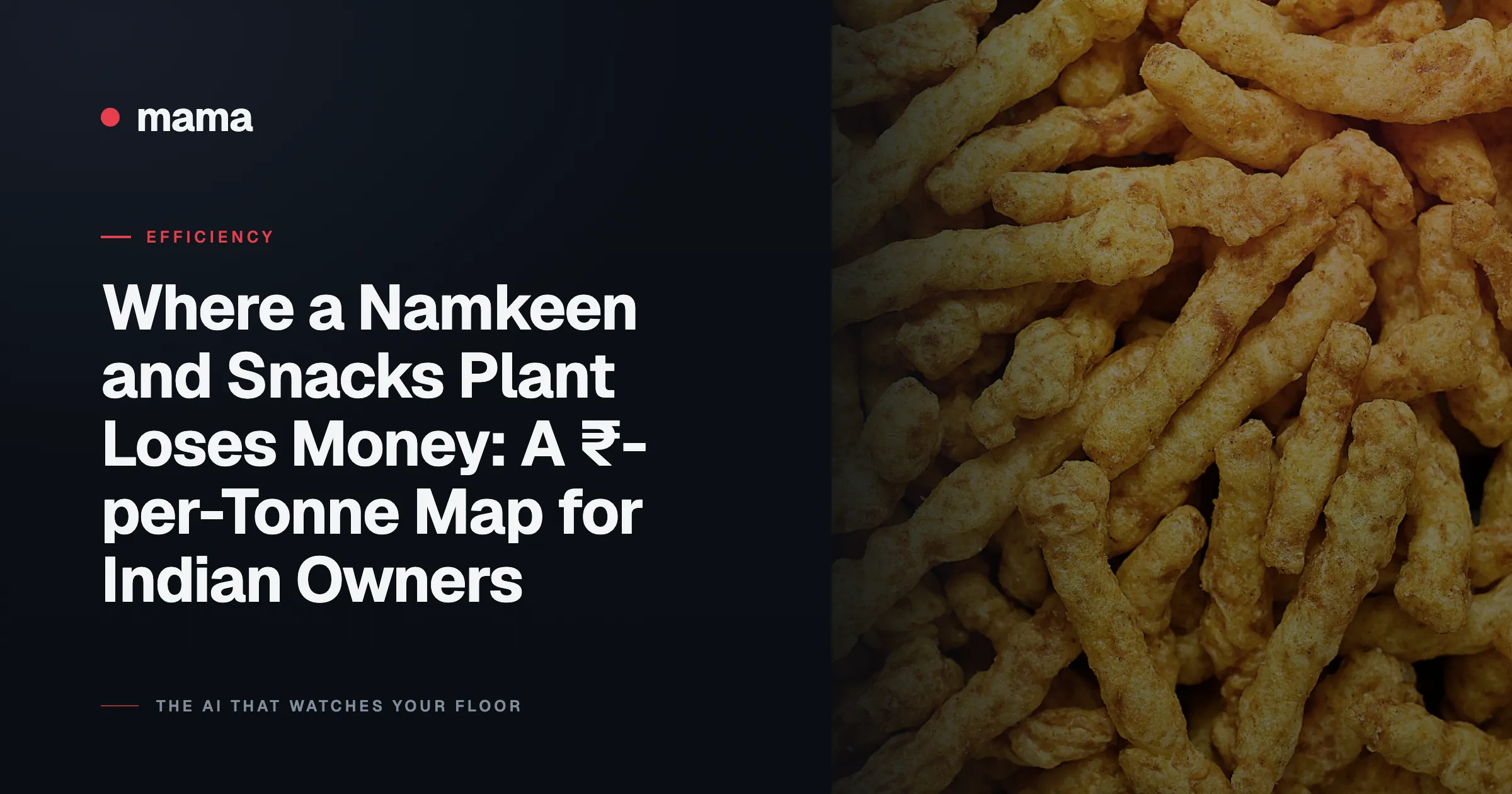 Where a Namkeen and Snacks Plant Loses Money: A ₹-per-Tonne Map for Indian Owners