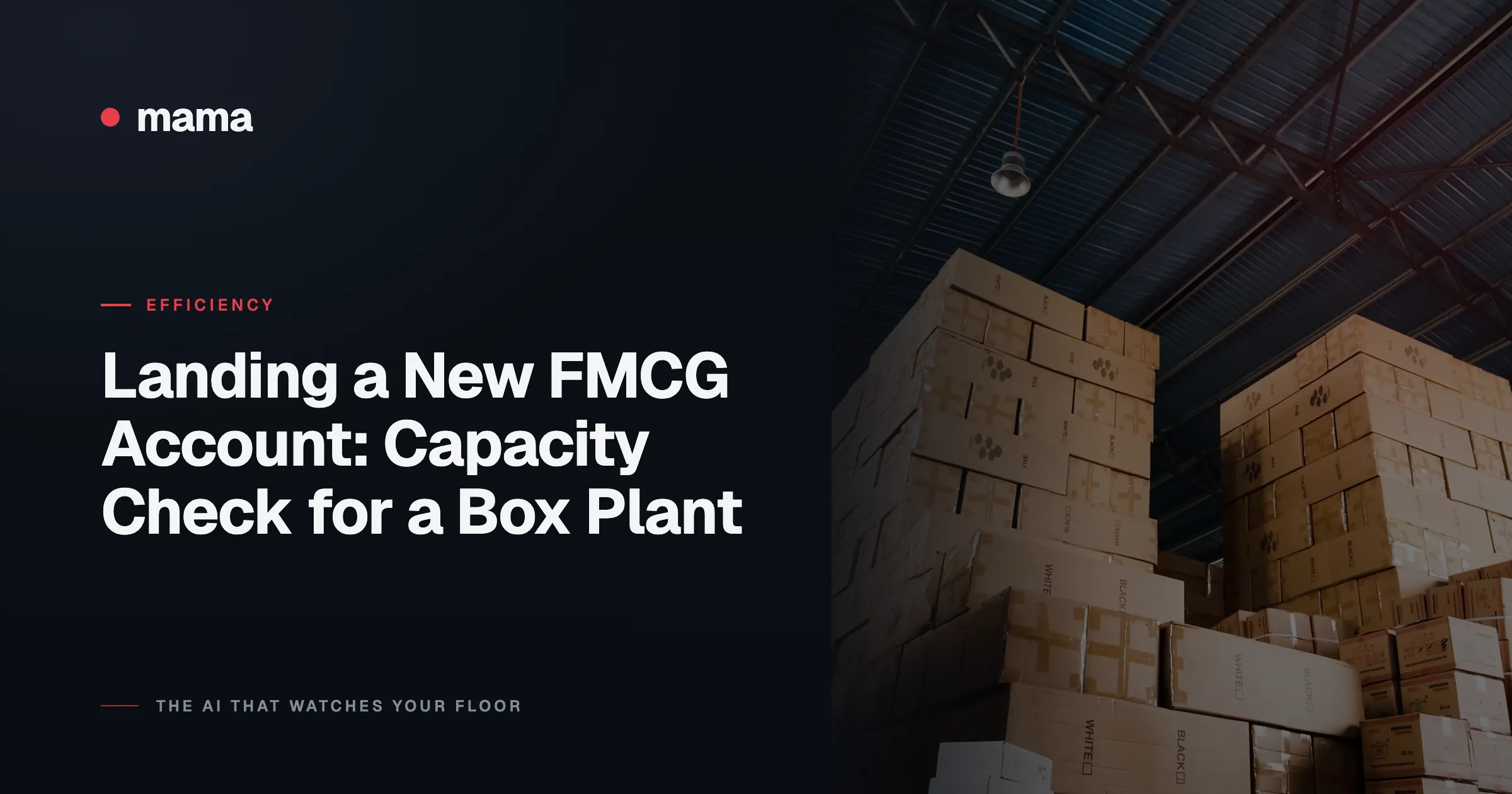 Landing a New FMCG Account: Capacity Check for a Box Plant