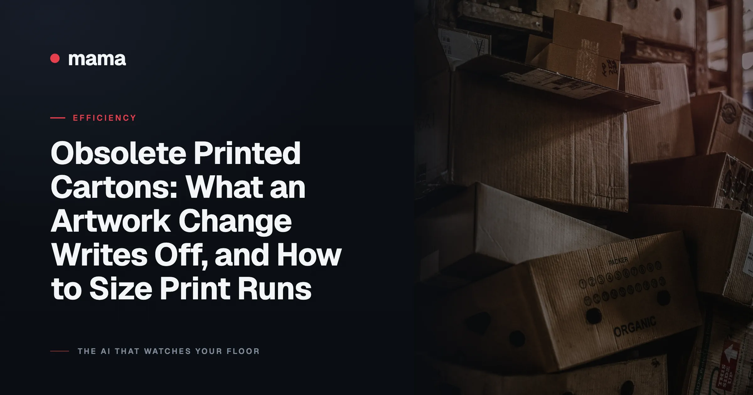 Obsolete Printed Cartons: What an Artwork Change Writes Off, and How to Size Print Runs