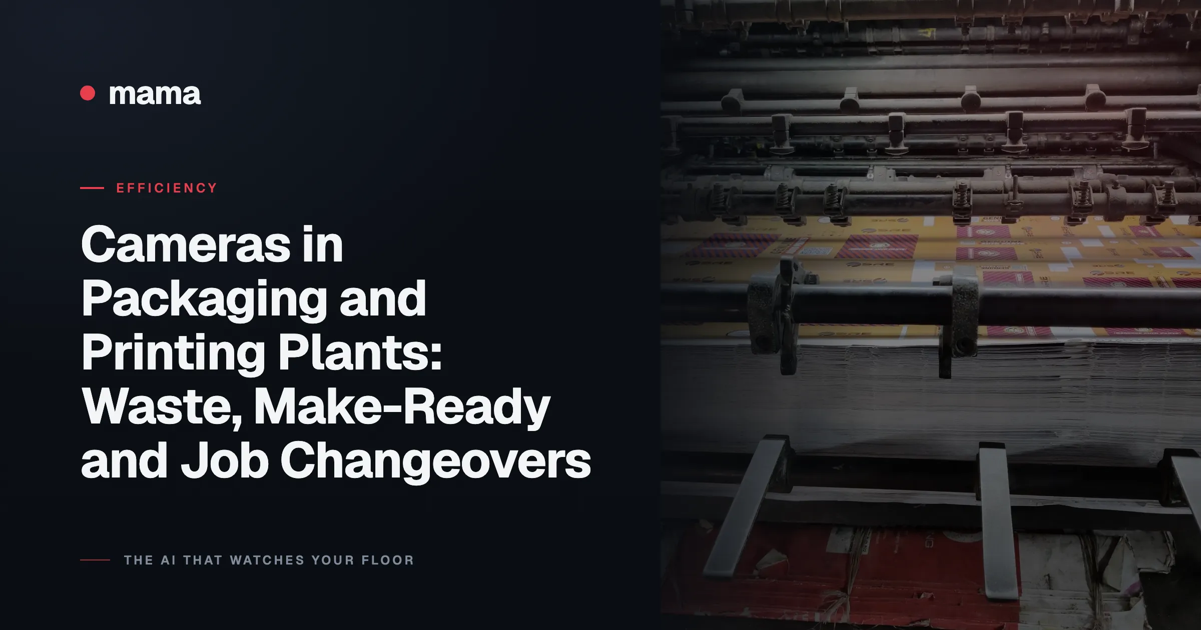 Cameras in Packaging and Printing Plants: Waste, Make-Ready and Job Changeovers