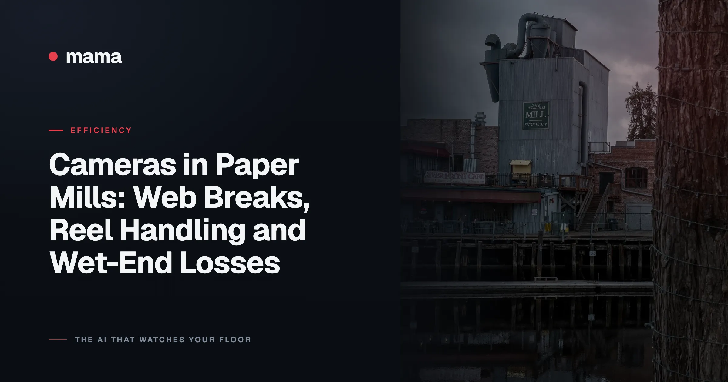 Cameras in Paper Mills: Web Breaks, Reel Handling and Wet-End Losses