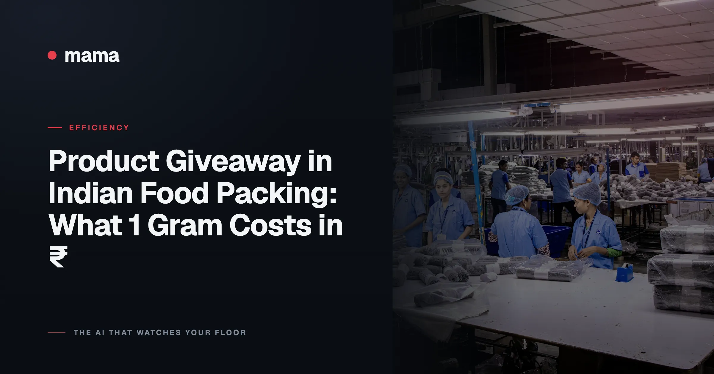 Product Giveaway in Indian Food Packing: What 1 Gram Costs in ₹