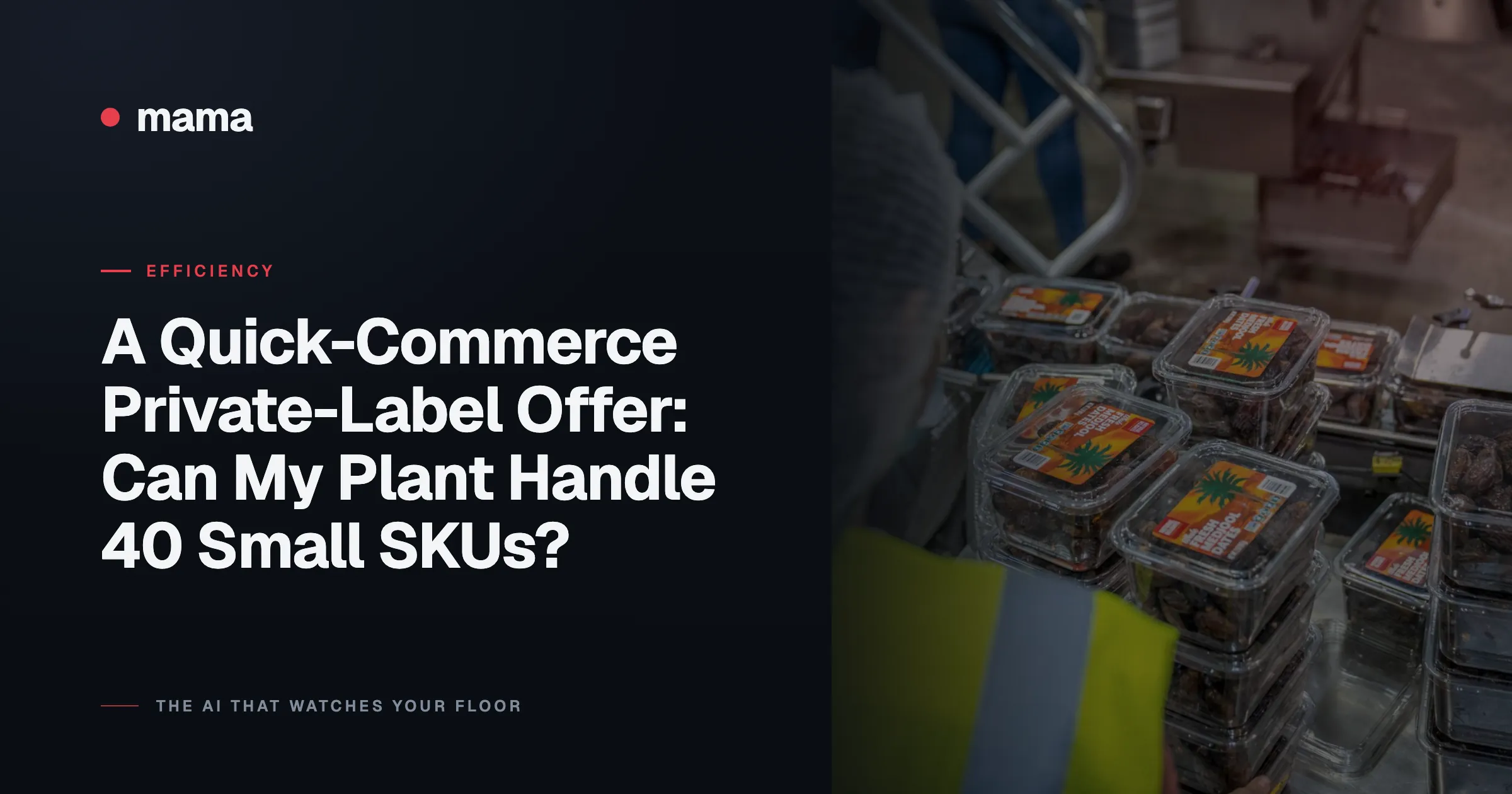 A Quick-Commerce Private-Label Offer: Can My Plant Handle 40 Small SKUs?