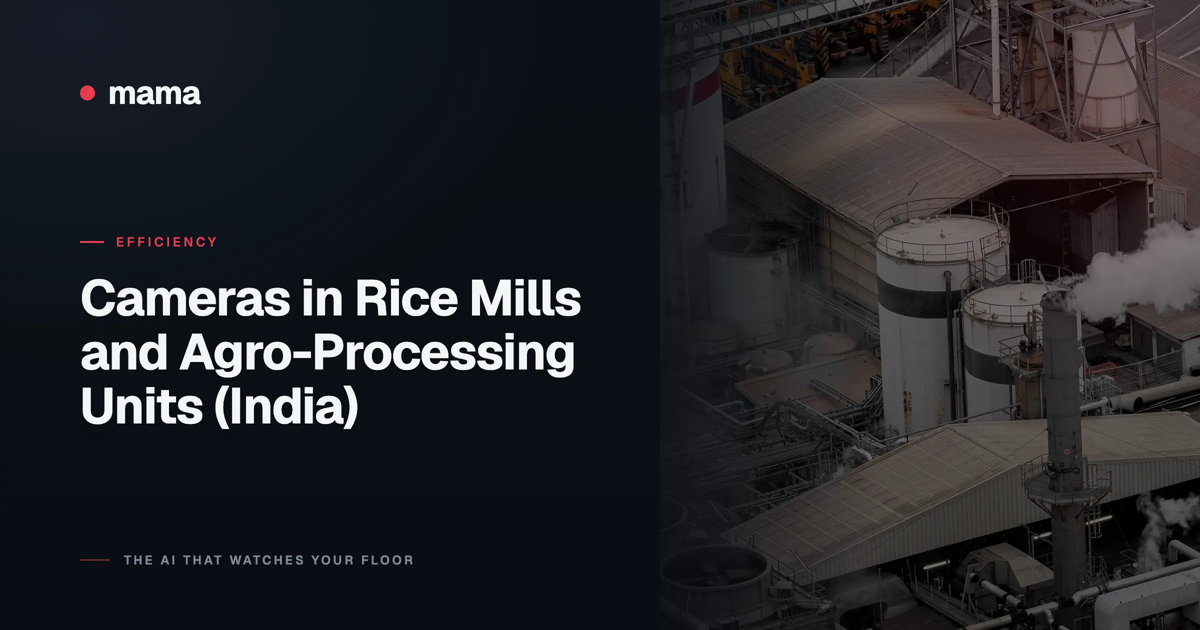 Cameras in Rice Mills and Agro-Processing Units (India)