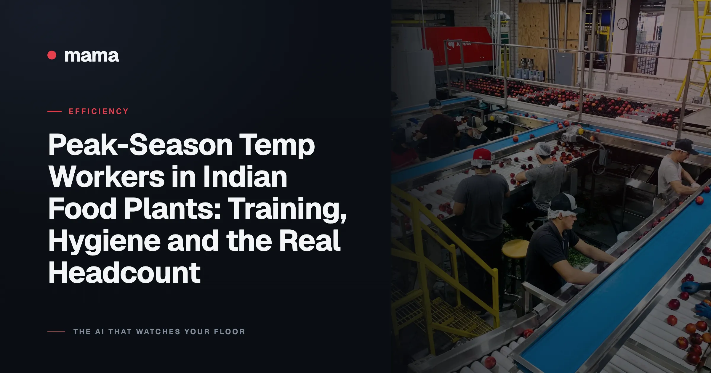 Peak-Season Temp Workers in Indian Food Plants: Training, Hygiene and the Real Headcount