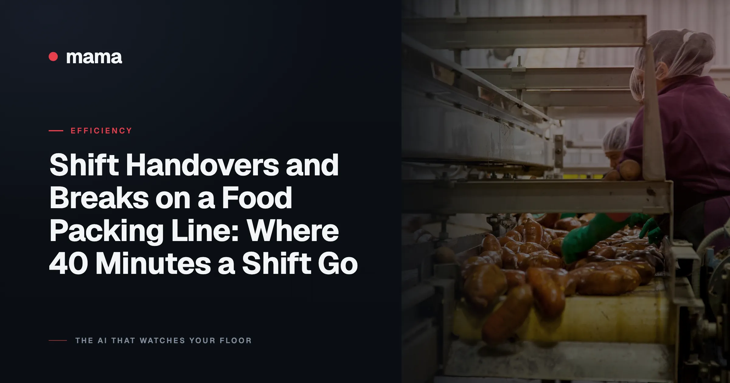 Shift Handovers and Breaks on a Food Packing Line: Where 40 Minutes a Shift Go