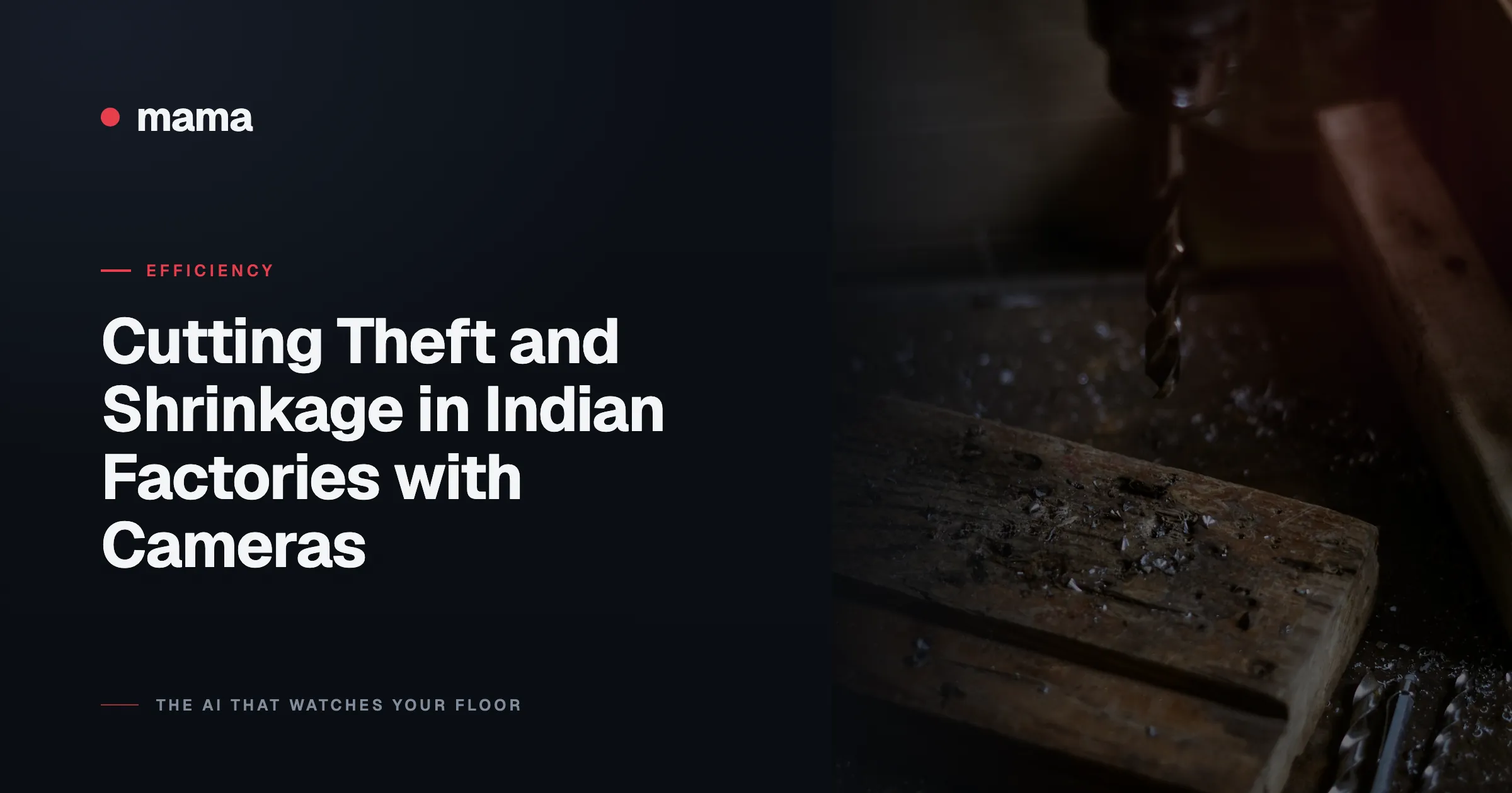 Cutting Theft and Shrinkage in Indian Factories with Cameras
