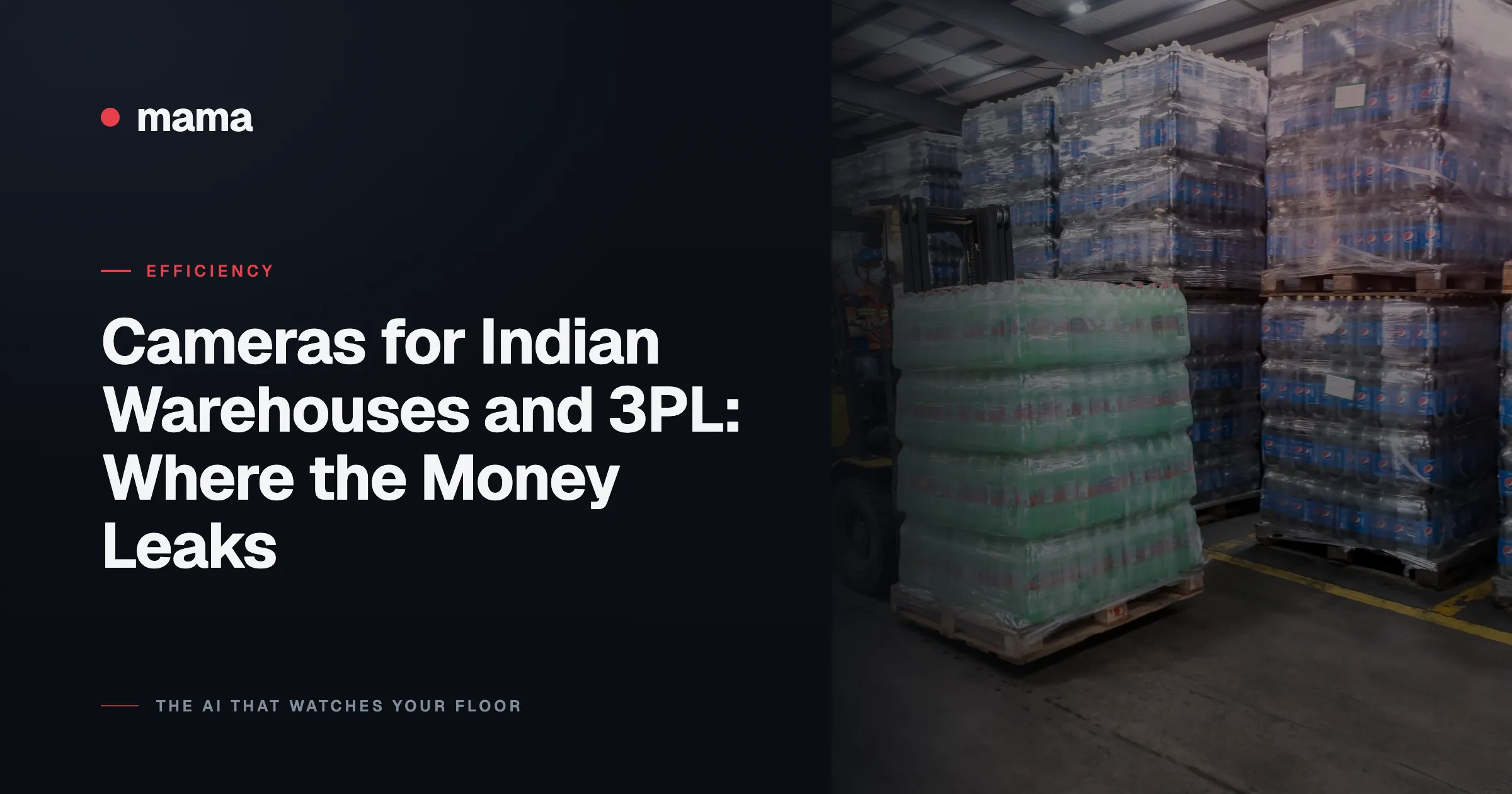 Cameras for Indian Warehouses and 3PL: Where the Money Leaks