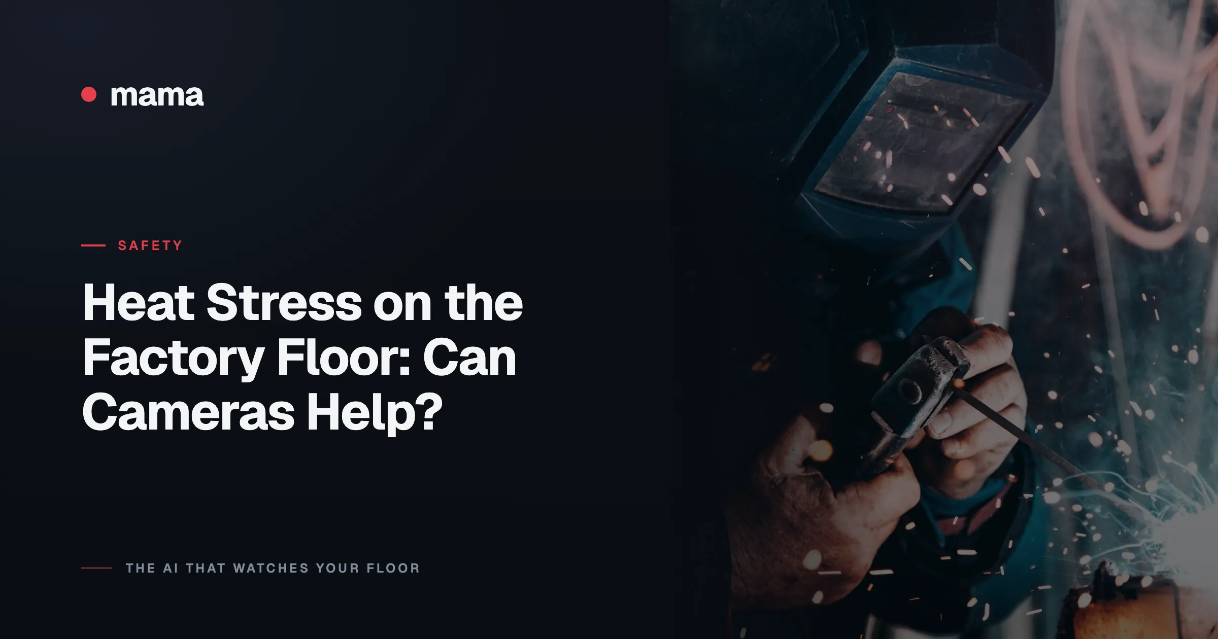 Heat Stress on the Factory Floor: Can Cameras Help?