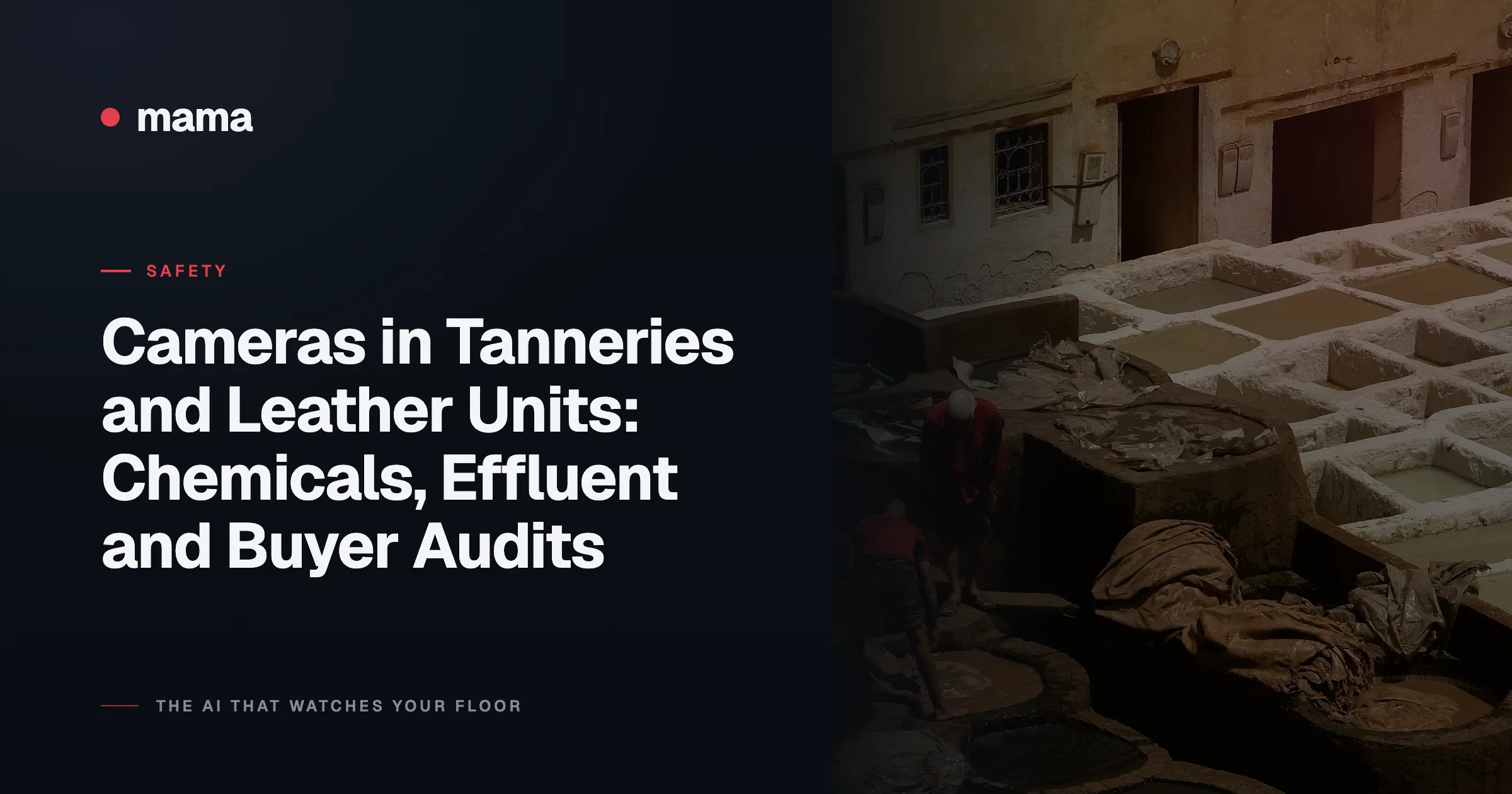 Cameras in Tanneries and Leather Units: Chemicals, Effluent and Buyer Audits